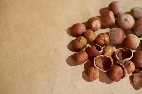 Background of peeled hazelnut kernels and shells and whole nuts Stock Photos