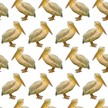 Background with pelicans Illustrazione stock