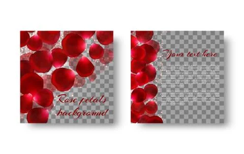 Background with petals of red roses Illustrazione stock