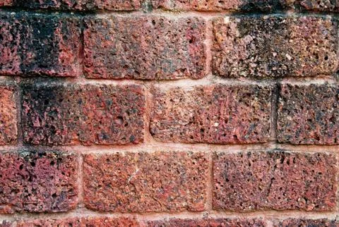 Background  pettern Stock Photos