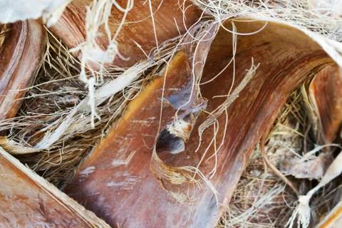 Background Stock Photos