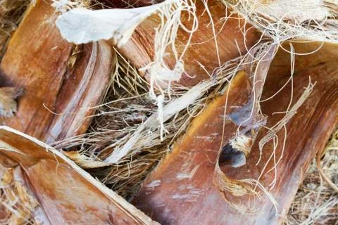 Background Stock Photos