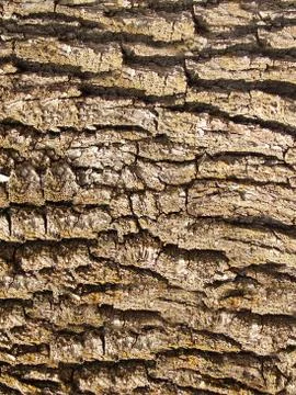 Background Stock Photos