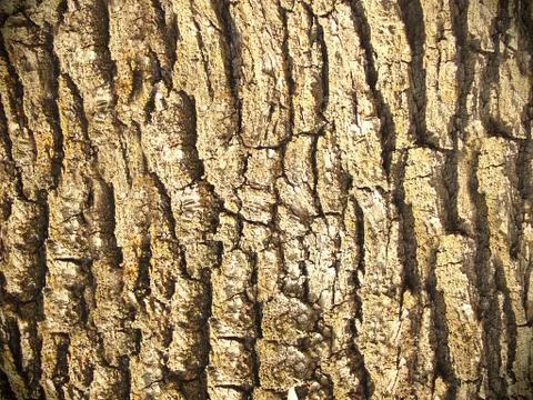 Background Stock Photos