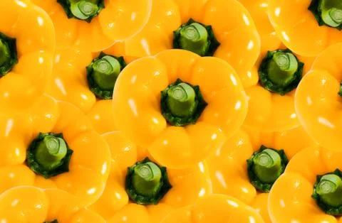 Background 스톡 사진