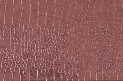 Background Stock Photos