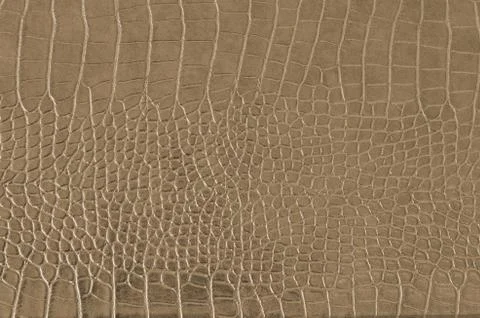 Background Stock Photos