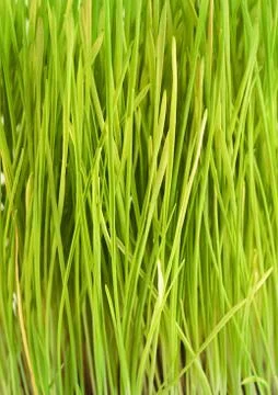 Background Stock Photos