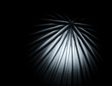 Background Stock Photos