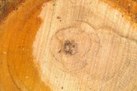 Background Stock Photos