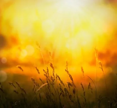 Background Stock Photos