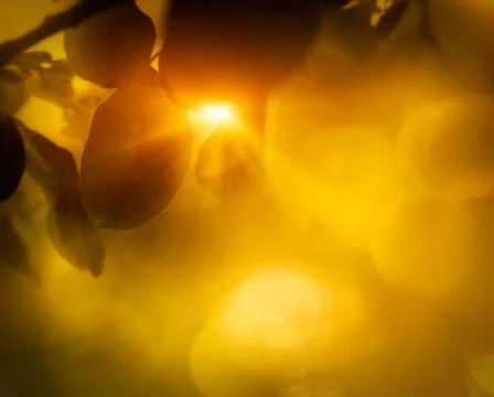 Background Stock Photos