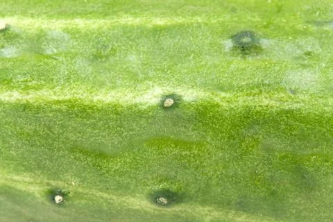 Background Stock Photos