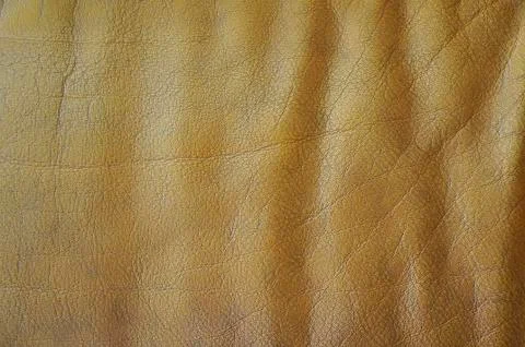 Background Stock Photos