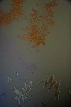 Background 写真素材