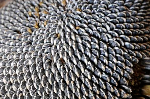 Background Stock Photos