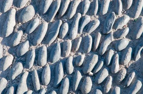 Background Stock Photos