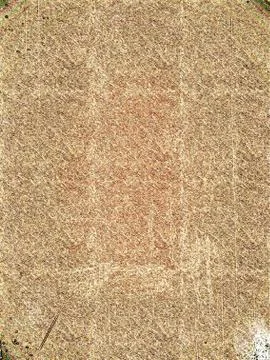 Background 写真素材