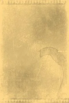 Background 写真素材