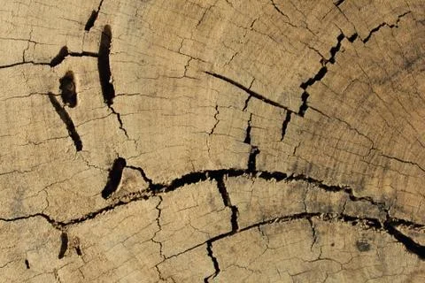 Background Stock-Fotos