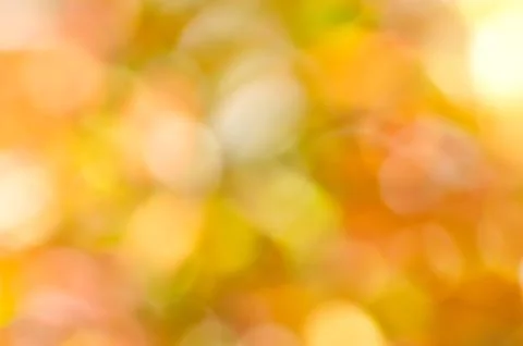Background Stock Photos