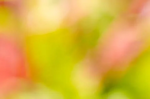 Background Stock Photos