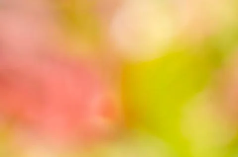 Background Stock Photos