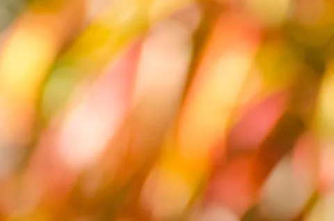 Background Stock Photos