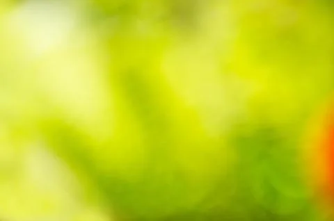 Background Stock Photos