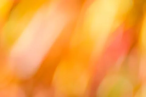 Background Stock Photos