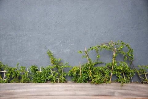 Background 写真素材