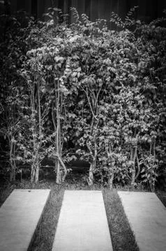 Background Stock Photos