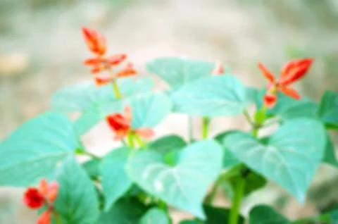 Background Stock Photos