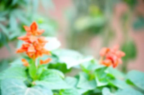 Background Stock Photos