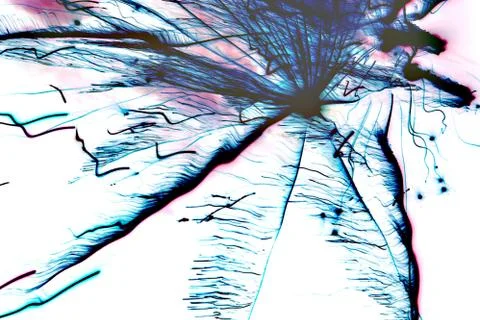 Background Stock Photos