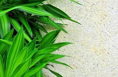 Background Stock Photos