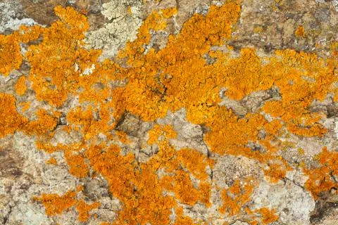 Background Stock Photos