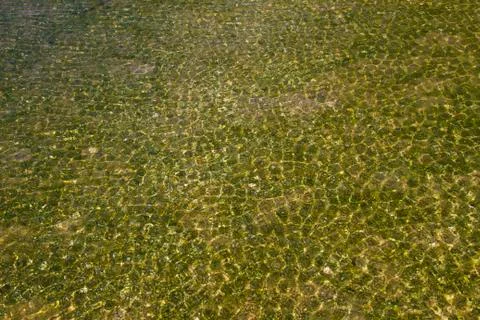 Background Stock Photos