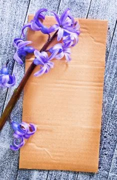 Background Stock Photos