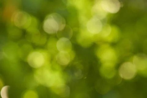 Background Stock Photos