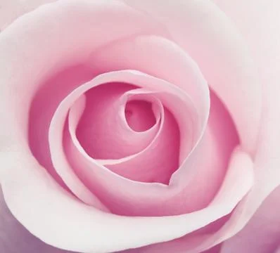 Background Stock Photos