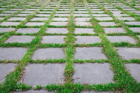 Background Stock Photos