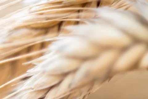 Background Stock Photos