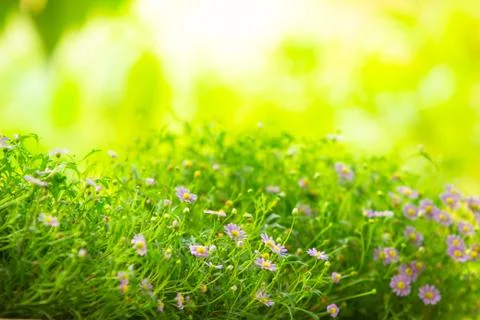 Background Stock Photos