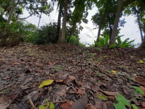 Background. Stock Photos