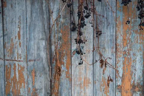 Background Stock Photos