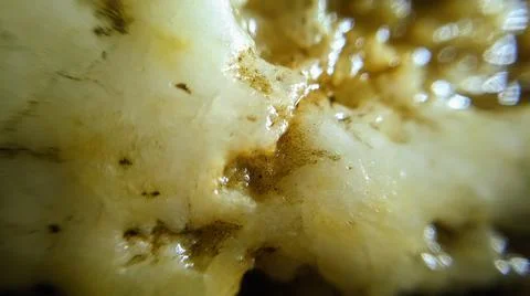 Background Stock Photos