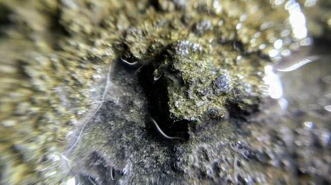 Background Fotos Stock