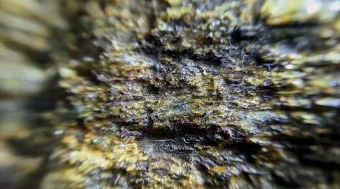 Background Foto stock