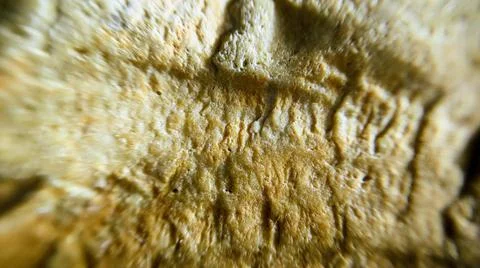 Background Stock Photos